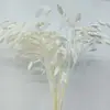 Pensamientos Pequeños Blanqueados, Flores Eternas, Flores Secas, Materiales de Flores para Manualidades, Flores Preservadas, Ramos, Flores Reales, Decoración del Hogar, Flores Hechas a Mano