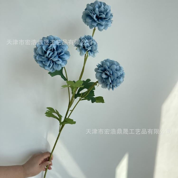 微信图片_20230913151902_副本