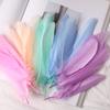 Fábrica de plumas, venta al por mayor, plumas de marisco, plumas de ganso, jardín de infantes, educación temprana, manualidades, joyería de bricolaje, materiales de decoración hechos a mano.