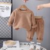 Traje de dos piezas de forro polar para niños de 2 años, cuello redondo, manga larga, Otoño Tardío, Nuevo, 3 Niños y Niñas, Casual, 0-4, Forro Polar de Grano Austriaco