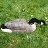 Chumbos de casco de ganso canadense flocados simulados para caça e armadilhagem, direto da fábrica, em estoque, casco de ganso simulado