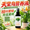 Fertilizante Especial para Ave-do-Paraíso, Solução Nutritiva para Folhas Amareladas, Enroladas e Rachadas, para Plantas de Vaso e Flores de Interior