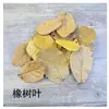 Hojas Secas Naturales, Decoración Retro Estilo Bosque, Hojas de Pera Amarilla, Hojas de Ciprés Pera, Materiales para Hacer Especímenes Hechos a Mano, Hojas Secas DIY