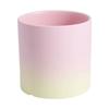 Maceta Escandinava Simple Transpirable Cerámica Sin Esmaltar Porosa Redonda Maceta para Flores Maceta para Plantas Suculentas Maceta de Cerámica con Soporte Se Puede Vender al Por Mayor