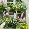 Jardim de Monet ins Paisagem Combinação Flor Cachoeira Parede Arte Floral Beleza Janela Café Exterior Cartão de Canto Celebridade Cibernética