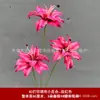 3 Flores de Lirio Simulación 3D Pequeño Libro Rojo Mismo recomendar Boda Decoración de Boda Flor Ventana Fotografía Paisaje