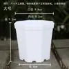 Octogonal Plástico Suculenta Pequeño Maceta Engrosado Soporte Paquete Combinación Planta Verde Escritorio Simple Balcón Generoso Negro y Blanco Maceta