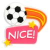 Serie Nueva de Fútbol Transfronteriza PVC Goma Suave Gota Plástico Zapatos de Flores Zapatos con Agujeros Hebilla Accesorios DIY Accesorios de Zapatos Removibles