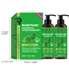 Conjunto de Cuidados com o Cabelo de Alecrim Todo em Inglês: Shampoo e Condicionador Equilibrantes e Refrescantes