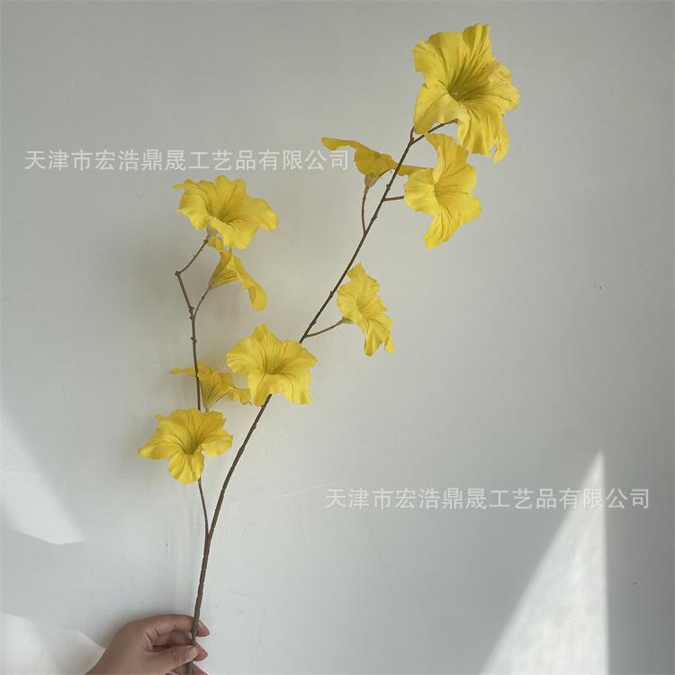 微信图片_202209081728234