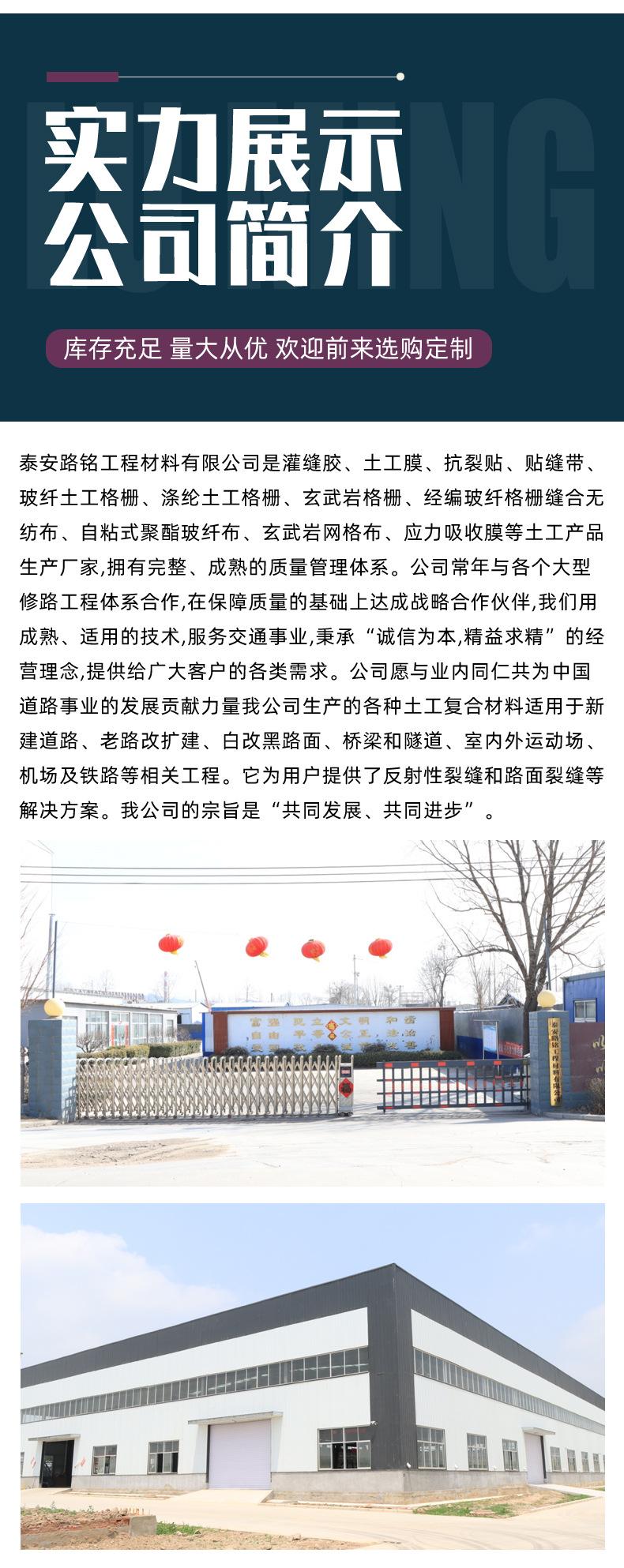 双向注塑拉伸带土工格栅_08.jpg