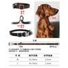 Pet suprimentos noite aviso anti-perda liga de zinco fivela carregamento USB corda bordado LED luminoso coleira cachorro cachecol
