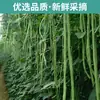 Feijões Secos no Atacado, Vagem Seca, Vegetais Desidratados, Feijões Secos Artesanais Especiais, Feijões Secos Longos para Revenda