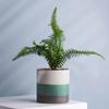 Processamento direto da fábrica vasos de bonsai de plantas suculentas verdes carnudas personalizados cerâmica tamanho pequeno tamanho pequeno país velho retro ideias de jardinagem
