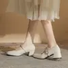 Zapatos de Mujer Jin Gang MY4510 Mary Jane de Tacón Grueso 2024 Nuevos Zapatos de Cuero para Primavera y Otoño Zapatos de Tacón Alto de Boca Baja Mujer