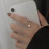 Anillo Mobius de Plata de Ley 925 Fangxing para Mujer Anillo para Dedo Índice Ola Francesa Japonesa y Coreana Diseño Ins Estilo Frío Anillo de Cola