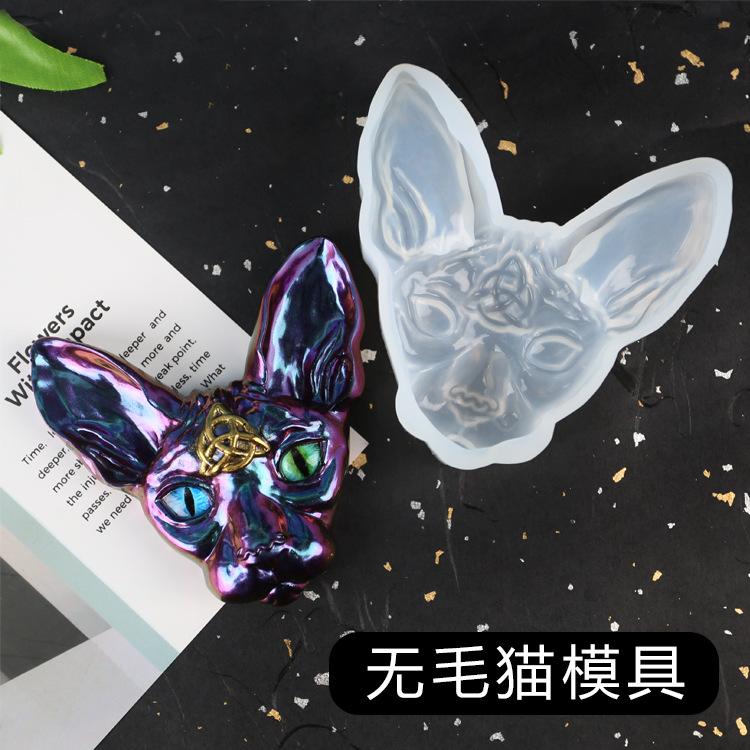 无毛猫后拍主图