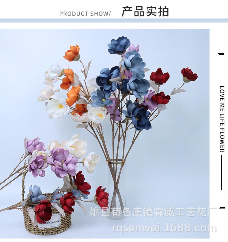 玉兰花_09.jpg