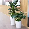 Vaso de Flor Autoirrigável para Preguiçosos, Venda Quente Transfronteiriça, Resina Espessa Tamanho Grande para Casa e Jardim, Vaso Simples para Plantio de Plantas Verdes