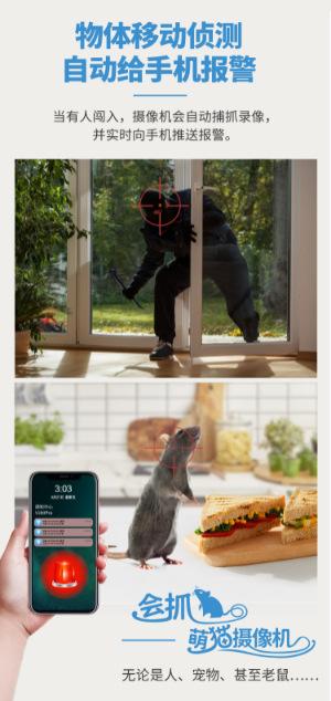 K9详情_06.png