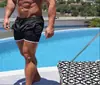 Pantalones Cortos Casuales de Verano para Hombre 2023 Aliexpress Músculo Deportes Running Playa Pantalones Cortos Hombre