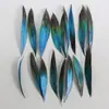 Venda Direta de Fábrica de Quase 100 Tipos de Acessórios Naturais de Penas Pequenas para Joias DIY, Acessórios de Cabeça, Broches, Chapéus, Materiais de Decoração para Artesanato