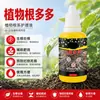 Solução Enraizadora Universal para Plantas Agente Enraizador Rápido Suculentas Árvore da Fortuna Flores Estacas Mudas Fortes Saudáveis Atacado