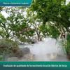 Rochedo de paisagismo de jardim sistema de névoa artificial de alta pressão Venda de parque escritório umidificação de vegetais sistema inteligente automático de floresta de névoa