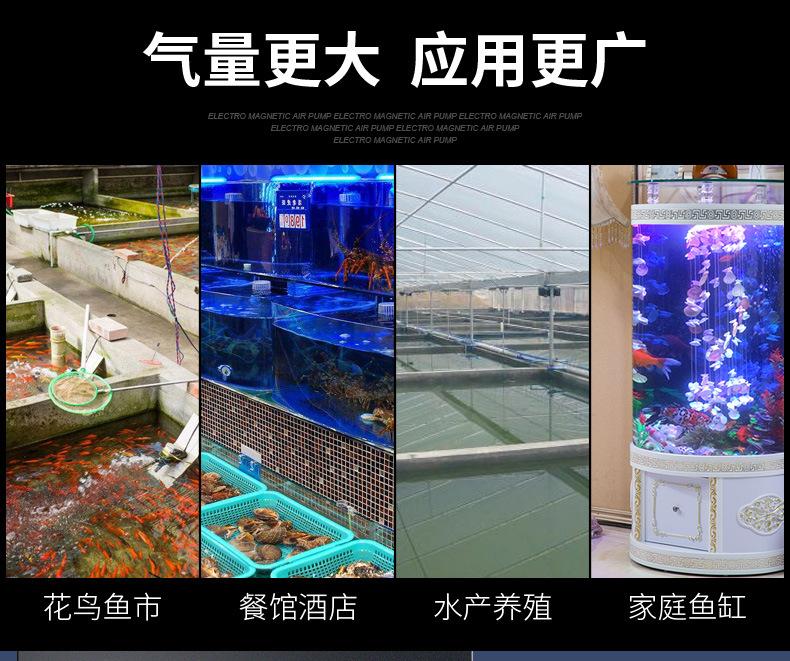 LNP-50详情_03