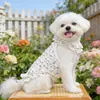 Faldas para Mascotas Verano Ropa para Perros y Gatos Suministros Delgada Transpirable Venta al por Mayor Ropa Transfronteriza Floral con Volantes Falda de Princesa