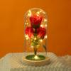 Nuevo ramo eterno transfronterizo con cubierta de vidrio, regalo creativo para ceremonia romántica, luz LED, decoración de escritorio, micro paisaje