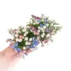 Horquilla de Gypsophila del Mismo Estilo que Liu Yifei para Mujer, Atmósfera Dulce, Pinza Lateral, Vestido, Tocado de Flor