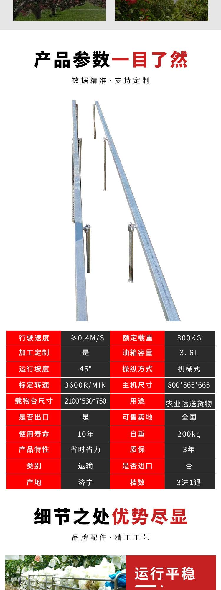 0407双链轨运输车8