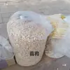 Plástico de nuevo material, doble capa, forma de barril, tubo de tela plástica, cilindro redondo, película plástica, engrosado, súper grueso, ensilaje, multifuncional, conservación del calor