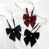 Vermelho vinho Gravata JK Laço Grande Pena Raiz Gravata Uniforme Japonês Uniforme Escolar Camisa Combina com Tudo Gravata da Moda Mulher Cor Sólida