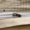 Juego de Ropa de Cama de Cuatro Piezas de Algodón 100% de Xinjiang Juego de Sábana Bajera de Tres Piezas Funda de Edredón Estampada Dormitorio de Estudiantes