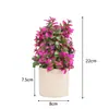 Nova Begônia Artificial Mais Vendida na Amazon Planta Verde em Vaso Estilo Europeu Fresca Decoração para Casa Fábrica Planta Verde Decorativa