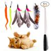 Conjunto de Brinquedos para Gato de Estimação Lagarta Pérola Pena Cabeça de Substituição Varinha Retrátil Cat Teaser Vara de Pesca para Gatinhos