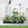 [Serie Hc-Al7] Combinación de Plantas Verdes Simuladas Planta de Decoración Partición de Plantas Canaleta para Flores Maceta Decoración de Paisaje Interior