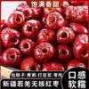 Dátiles Rojos sin Semilla de Xinjiang, Dátiles Grises Ruoqiang sin Semilla, Rodajas de Dátil Rojo sin Semilla para Uso Comercial, Caja Entera para Hacer Sopa y Gachas, Dátiles Secos Tostados sin Semilla