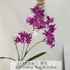 Flores Artificiales Frescas Estilo Coreano Orquídea Hada de 3 Puntas Exhibición de Ventana Decoración de Centro Comercial Flores Hechas a Mano Materiales para Arreglos Florales de Bodas