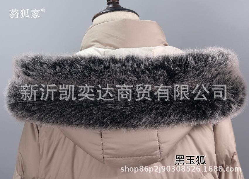 黑玉狐.jpg