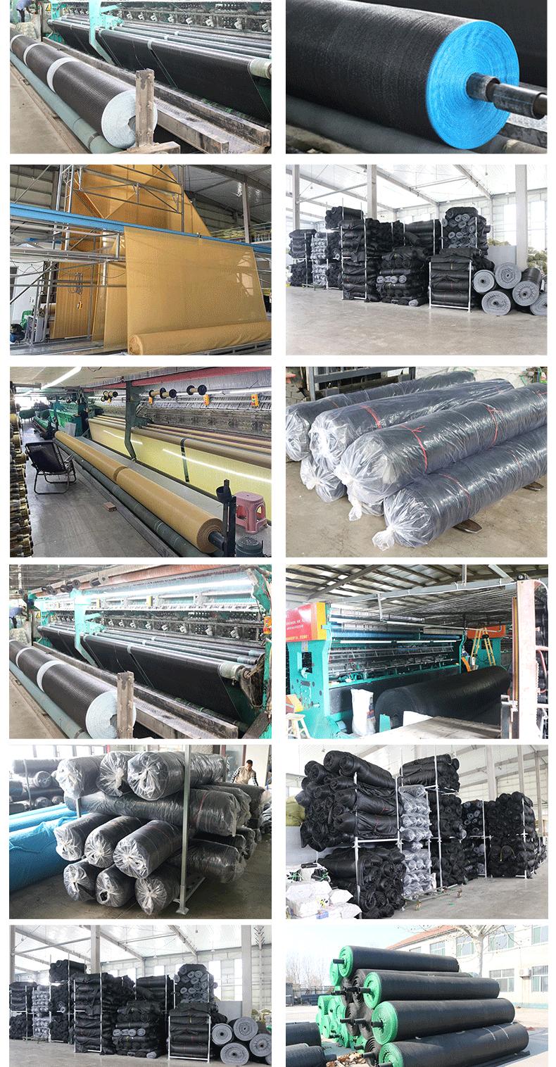 d99d6f6850c5dd6e37b30494ceec1b