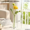 Vaso de vidro transparente elegante estilo francês para decoração de sala de estar, vaso pequeno hidropônico de origami criativo estilo ins