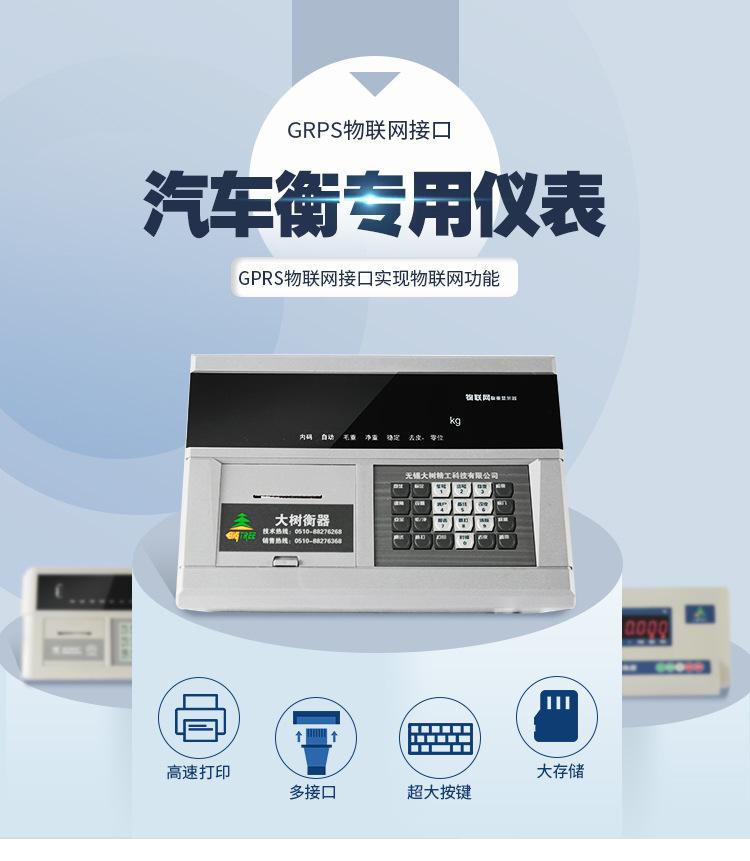 DS10仪表详情页_01.jpg