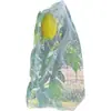 Enbolsado de Frutas, Enbolsado a Prueba de Insectos y Aves, Melocotón, Manzana, Guayaba y Pera Protección Especial Enbolsado de Árboles Frutales, Cubierta de Bolsa de Malla