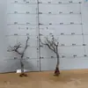 Tocones de Árbol Muerto Ramas Modelo Microscópico Escena Fabricación Suministros para Mascotas Base de Figura Embellecimiento de Fondo Decoración Obstáculo