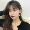 Estilo Japonês e Coreano Simples Brincos Longos Brincos Quadrados Distintos Resina Elegante Internet Popular ins Brincos Estilo Frio Brincos Femininos 1099