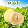 Pomelo miel de carne blanca de Zhangzhou, Fujian, envío directo 5 / 4.5 kg Fruta grande, dulce y jugosa, pomelo de carne blanca de temporada, fruta fresca