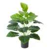 Simulación verde bonsái plantas pastoriles estilo nórdico plantas verdes jardín de ventana paisaje decoración del hogar atuendo suave